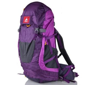 Женский рюкзак туриста ONEPOLAR (ВАНПОЛАР) W1638-violet - 7866360 - SvitStyle